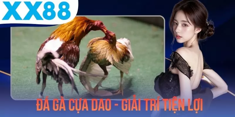 Đá Gà Cựa Dao - Giải Trí Tiện Lợi Với Quy Định Chuyên Nghiệp