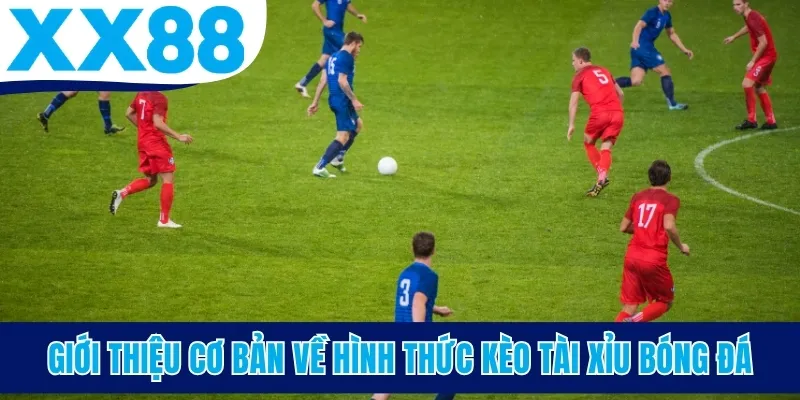 Giới thiệu cơ bản về hình thức kèo tài xỉu bóng đá